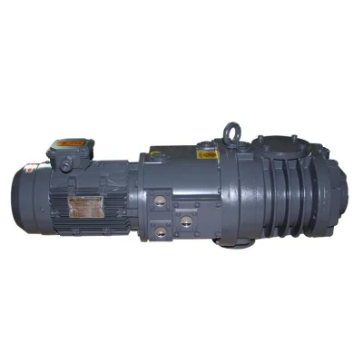 Roots Vacuum Pump