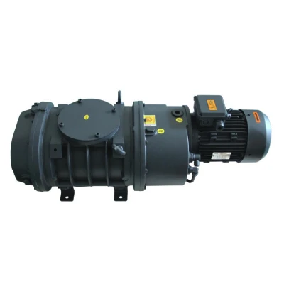 Industrial Vacuum Pump System
